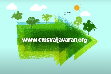 CMS Vatavaran Film